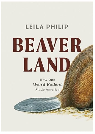 Beaverland by Leila Philip